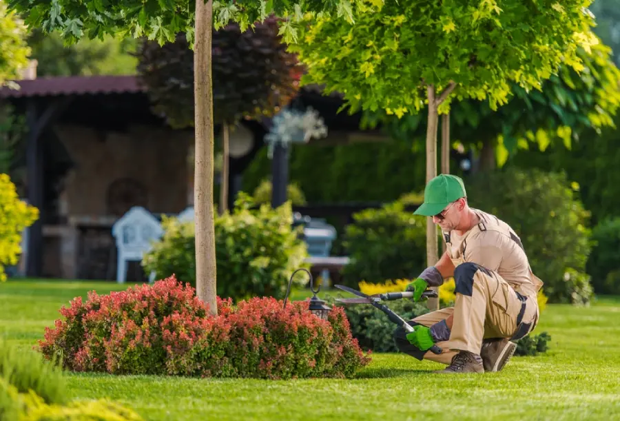 A professional landscaper working in a vibrant yard