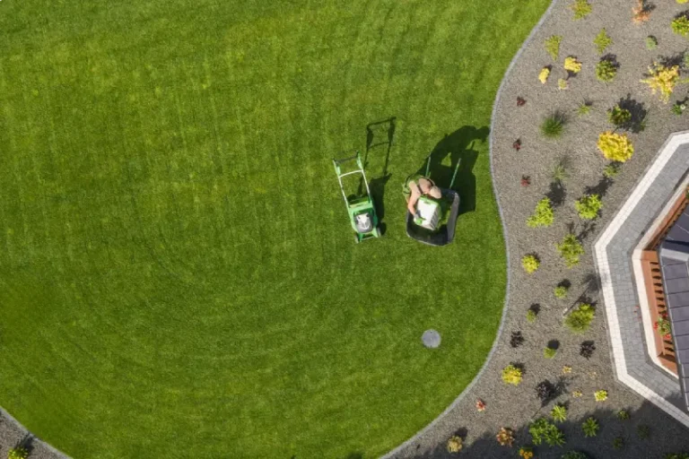 Aeriel view of a landscaped yard